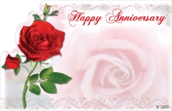 Happy Anniversary Red Rose Pack Of 50 Enclosure Cards