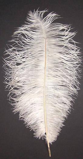 Ostrich Feather Fringe 5-6 Lavender - 2 Yards