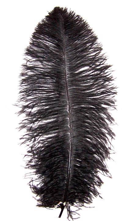 1/2 lb 14-17 Black Ostrich Feathers