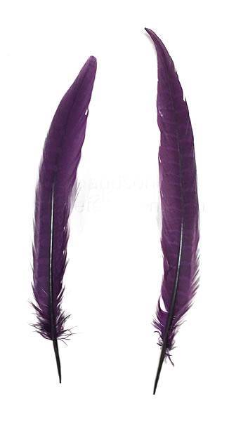 Reeves Pheasant Dyed, 18-20 inch, per 1 or 10 feathers